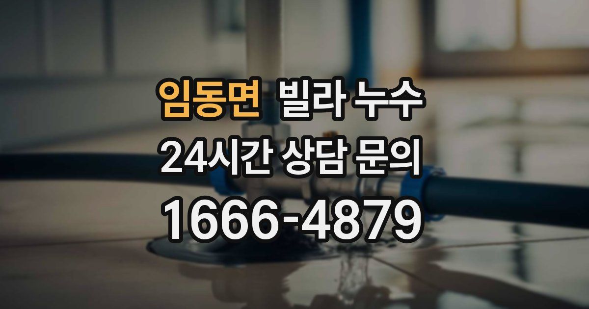 임동면 빌라 누수