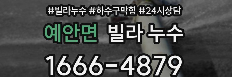 예안면 빌라 누수