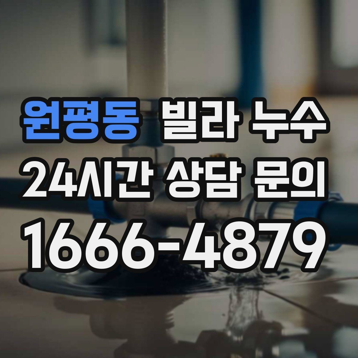 원평동 빌라 누수 욕실 타일 사이 물스밈이 늘었다면