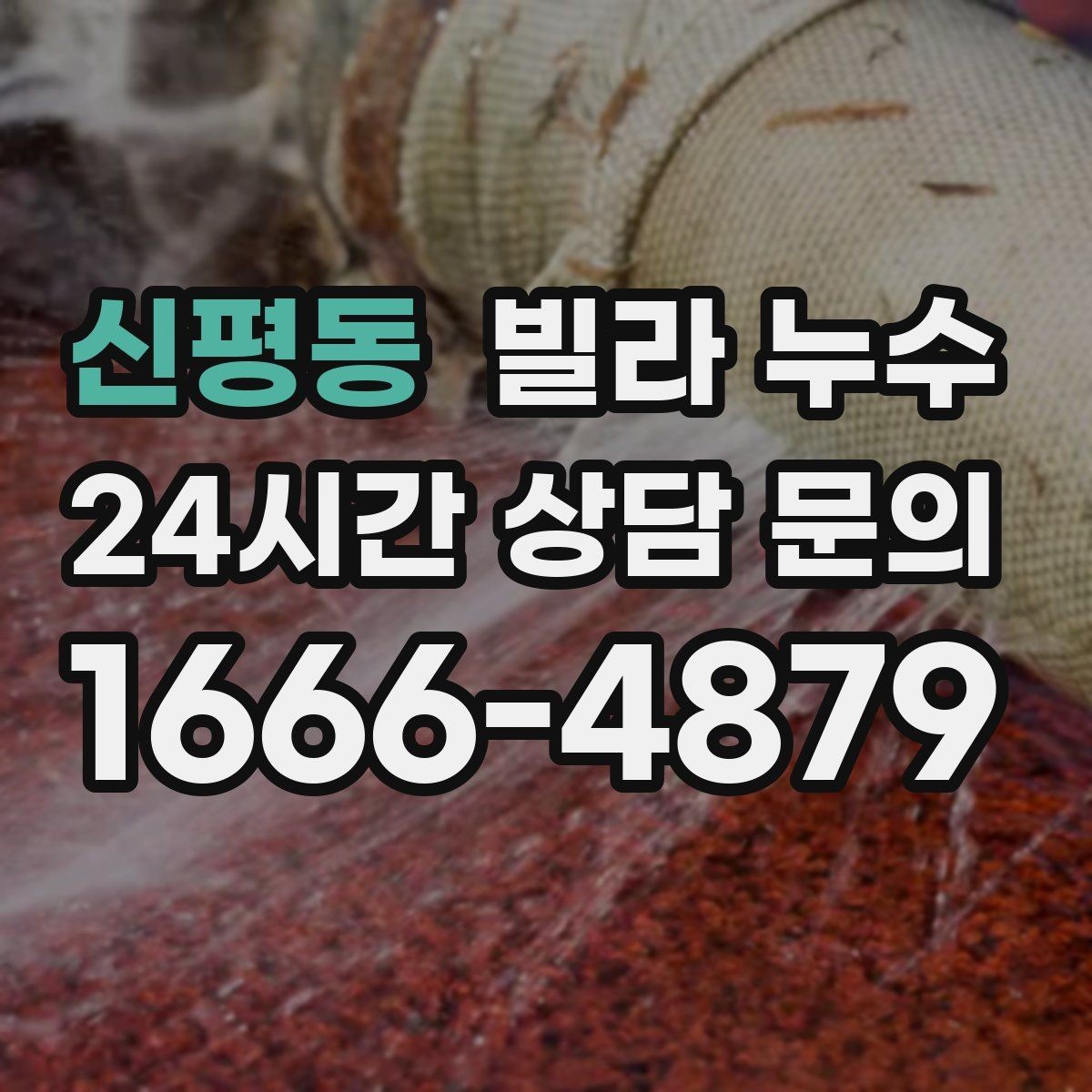 신평동 빌라 누수 배수구 역류가 누수처럼 보일 때