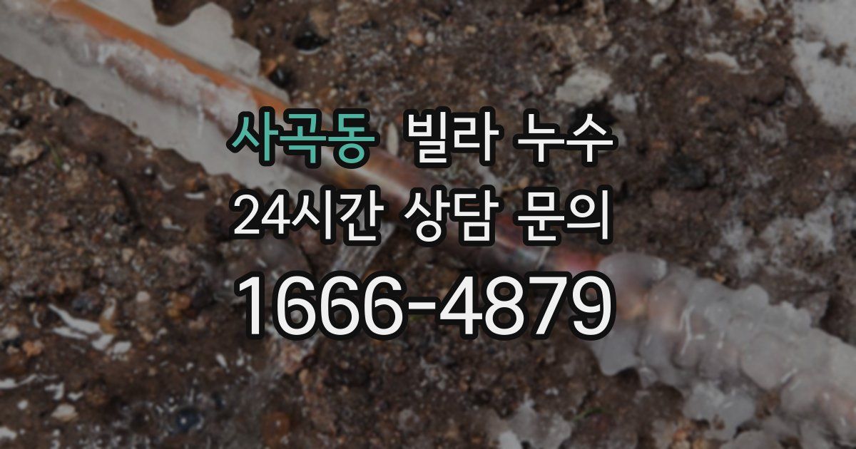 사곡동 빌라 누수