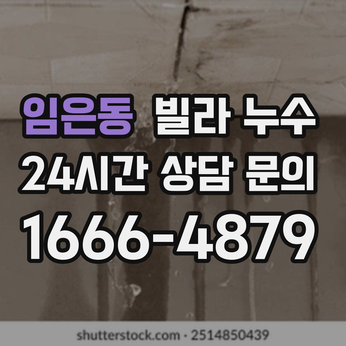 임은동 빌라 누수 천장 주변에서 퀴퀴한 냄새가 올라올 때