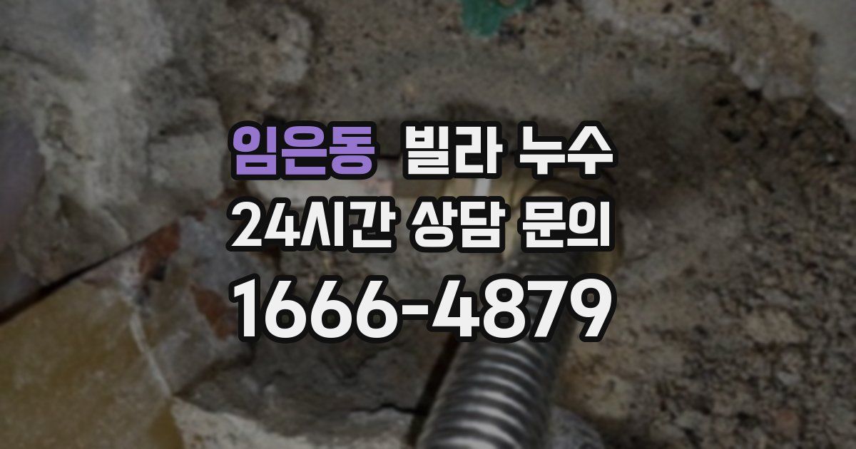 임은동 빌라 누수