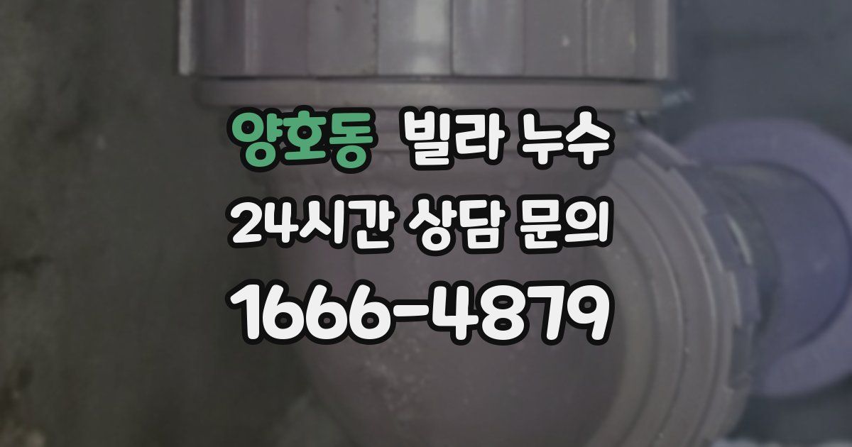 양호동 빌라 누수