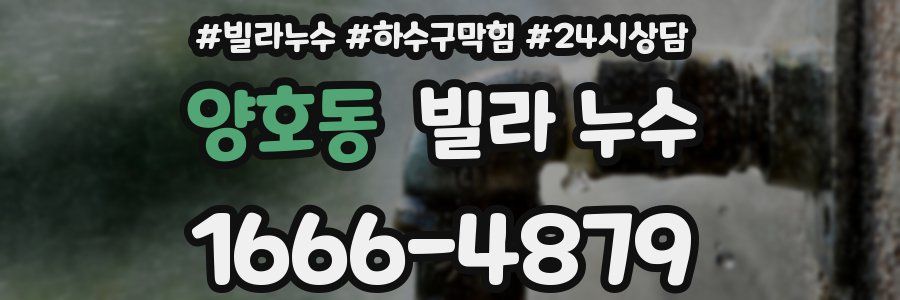 양호동 빌라 누수