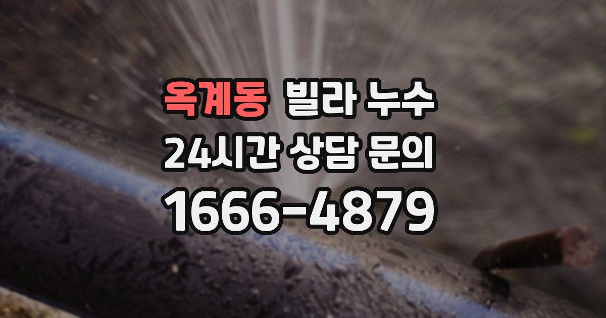 옥계동 빌라 누수