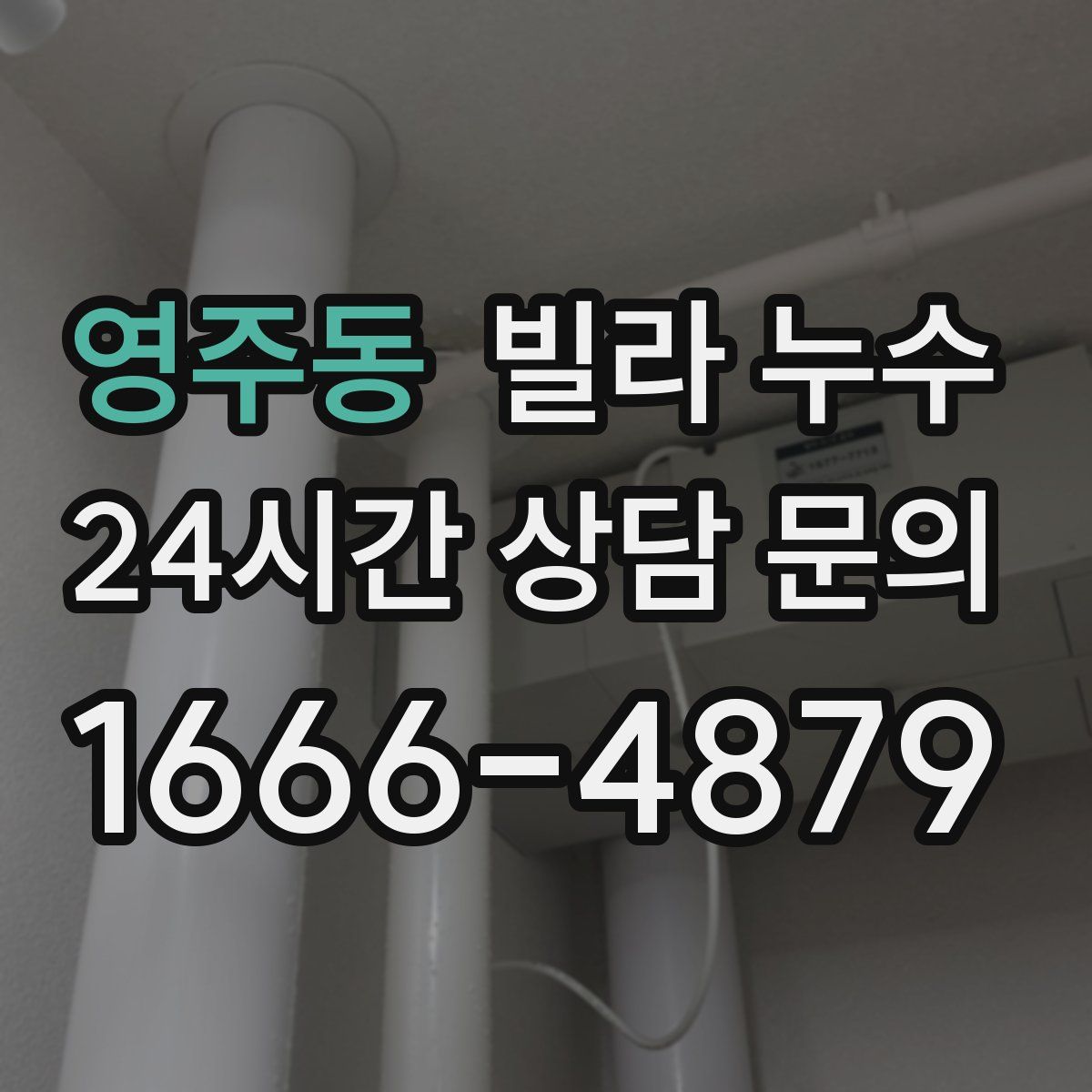 영주동 빌라 누수