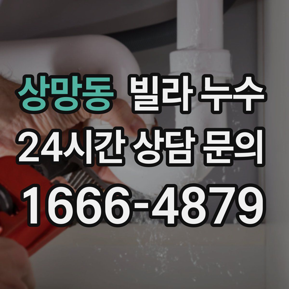 상망동 빌라 누수