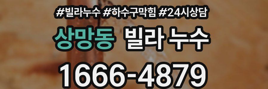 상망동 빌라 누수