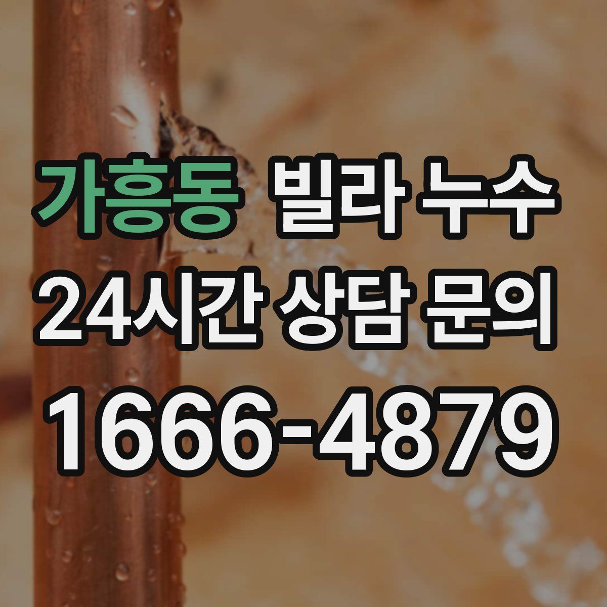 가흥동 빌라 누수