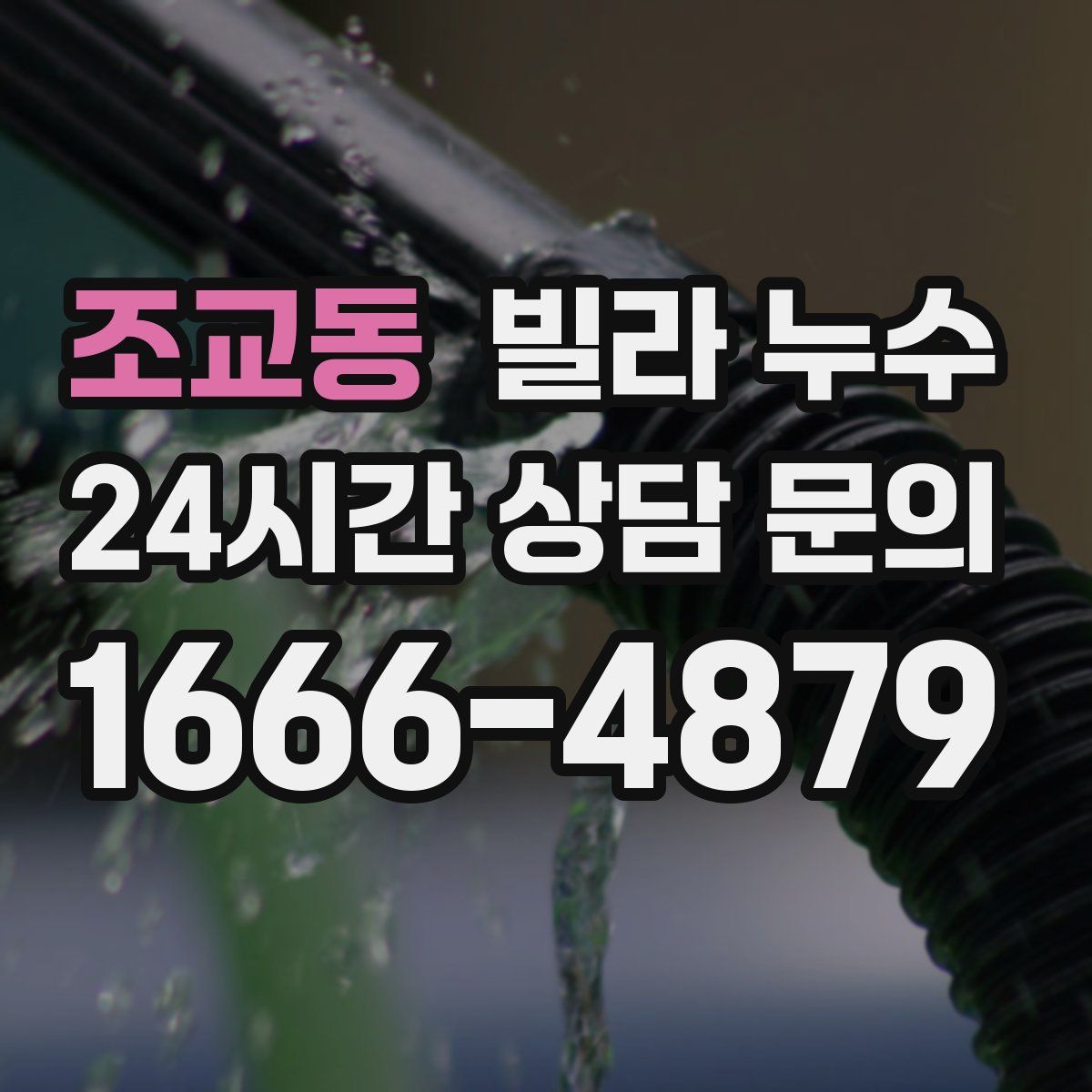 조교동 빌라 누수