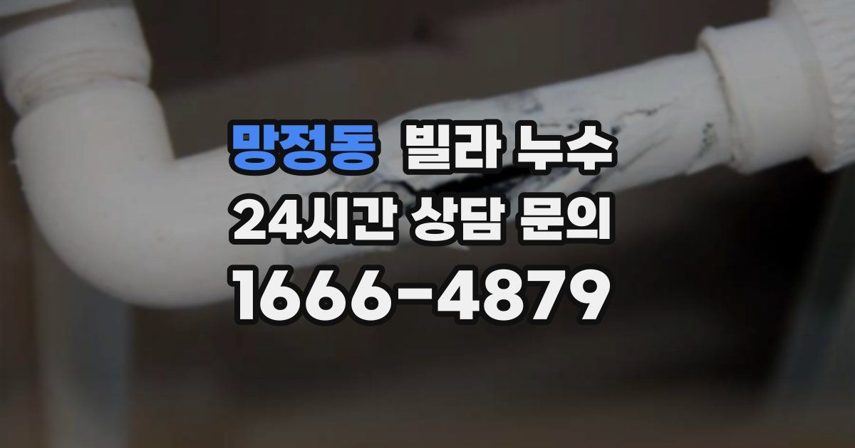 망정동 빌라 누수