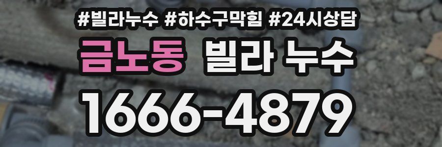 금노동 빌라 누수