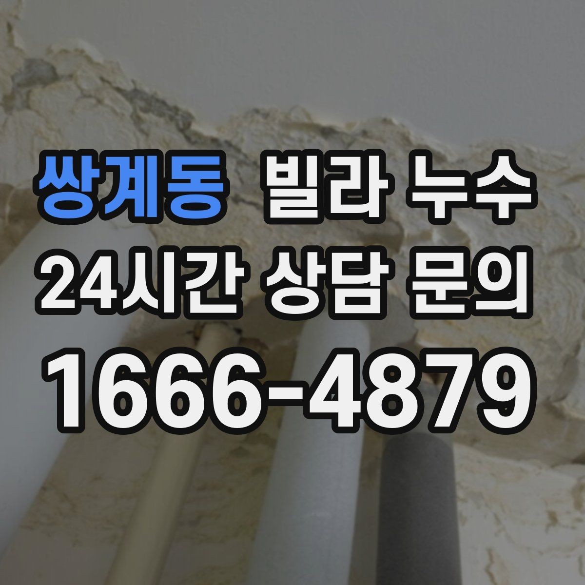 쌍계동 빌라 누수 도배만 다시 하면 재발하는 이유