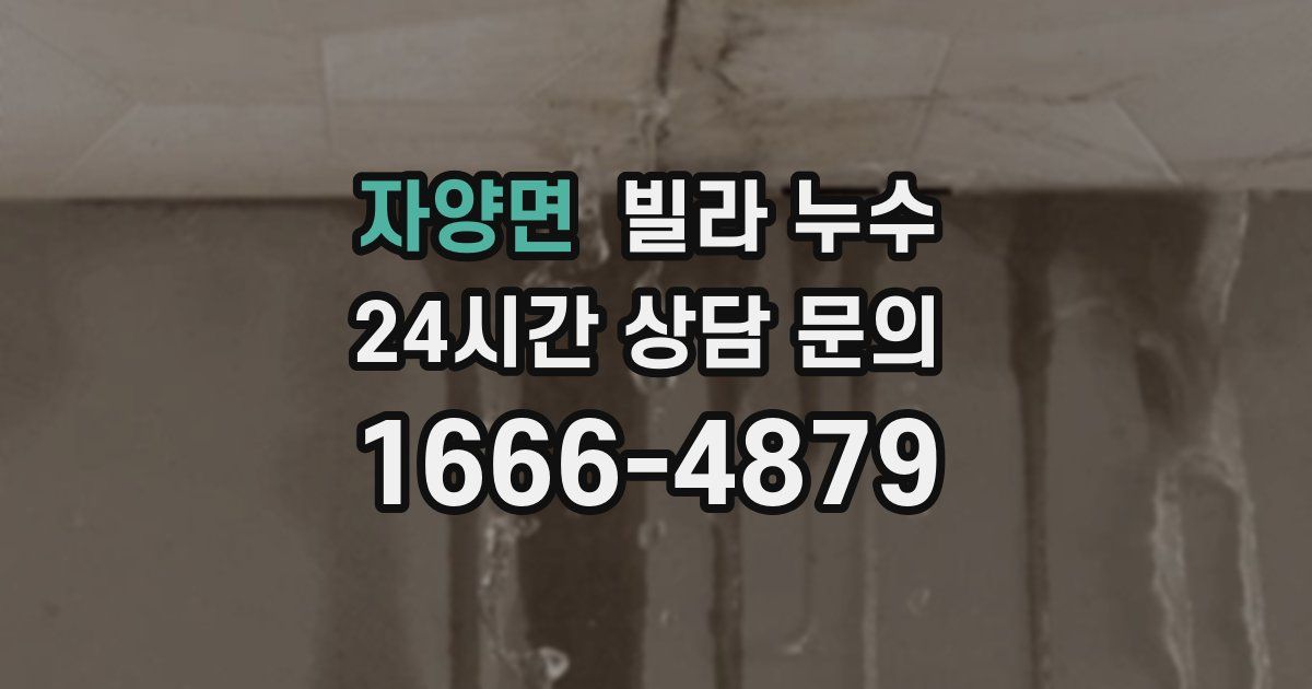 자양면 빌라 누수