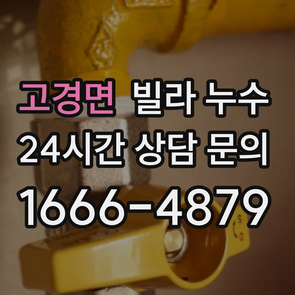 고경면 빌라 누수