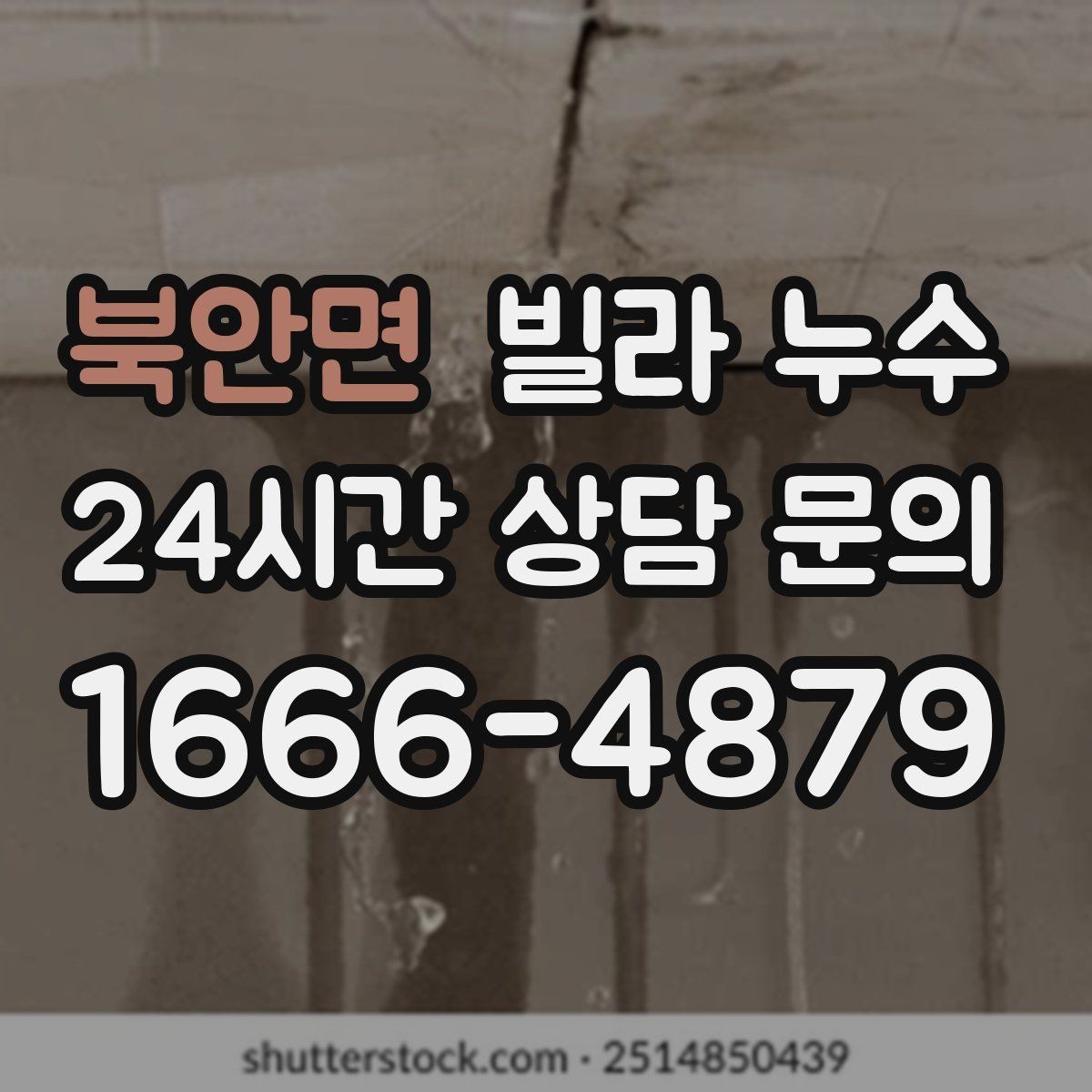 북안면 빌라 누수 누수 해결 후 곰팡이가 남지 않게 하는 방법