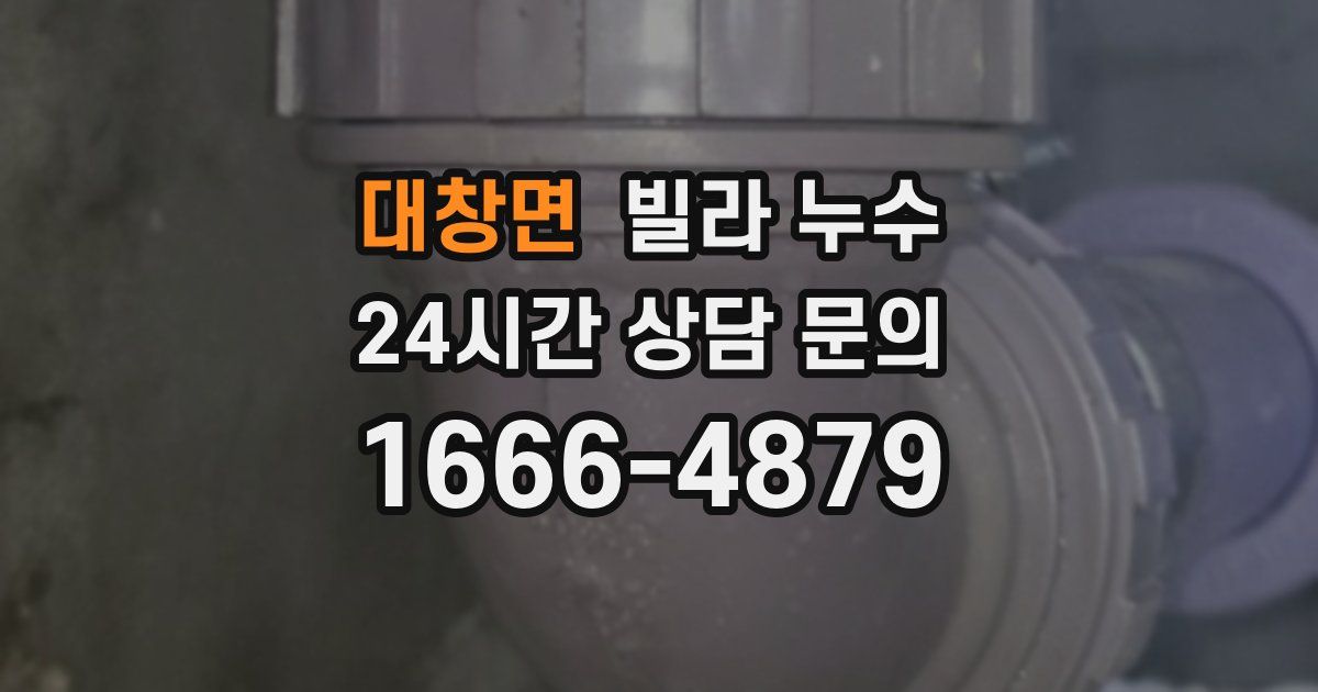 대창면 빌라 누수