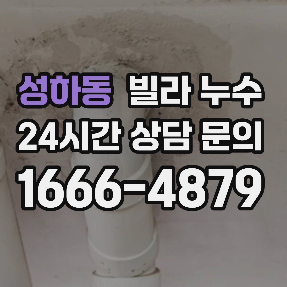 성하동 빌라 누수 벽 뒤편 곰팡이가 반복되면 누수 의심