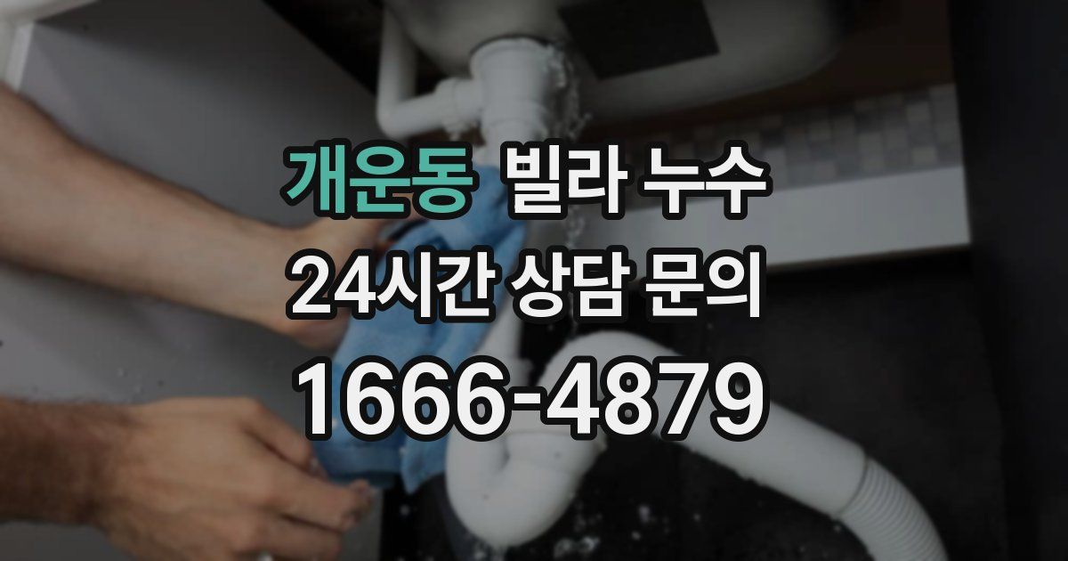 개운동 빌라 누수