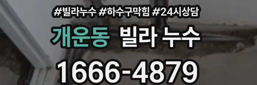 개운동 빌라 누수