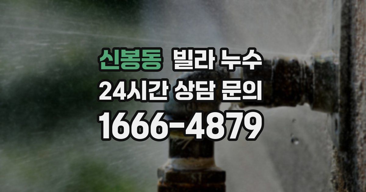 신봉동 빌라 누수