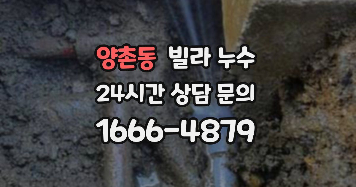 양촌동 빌라 누수