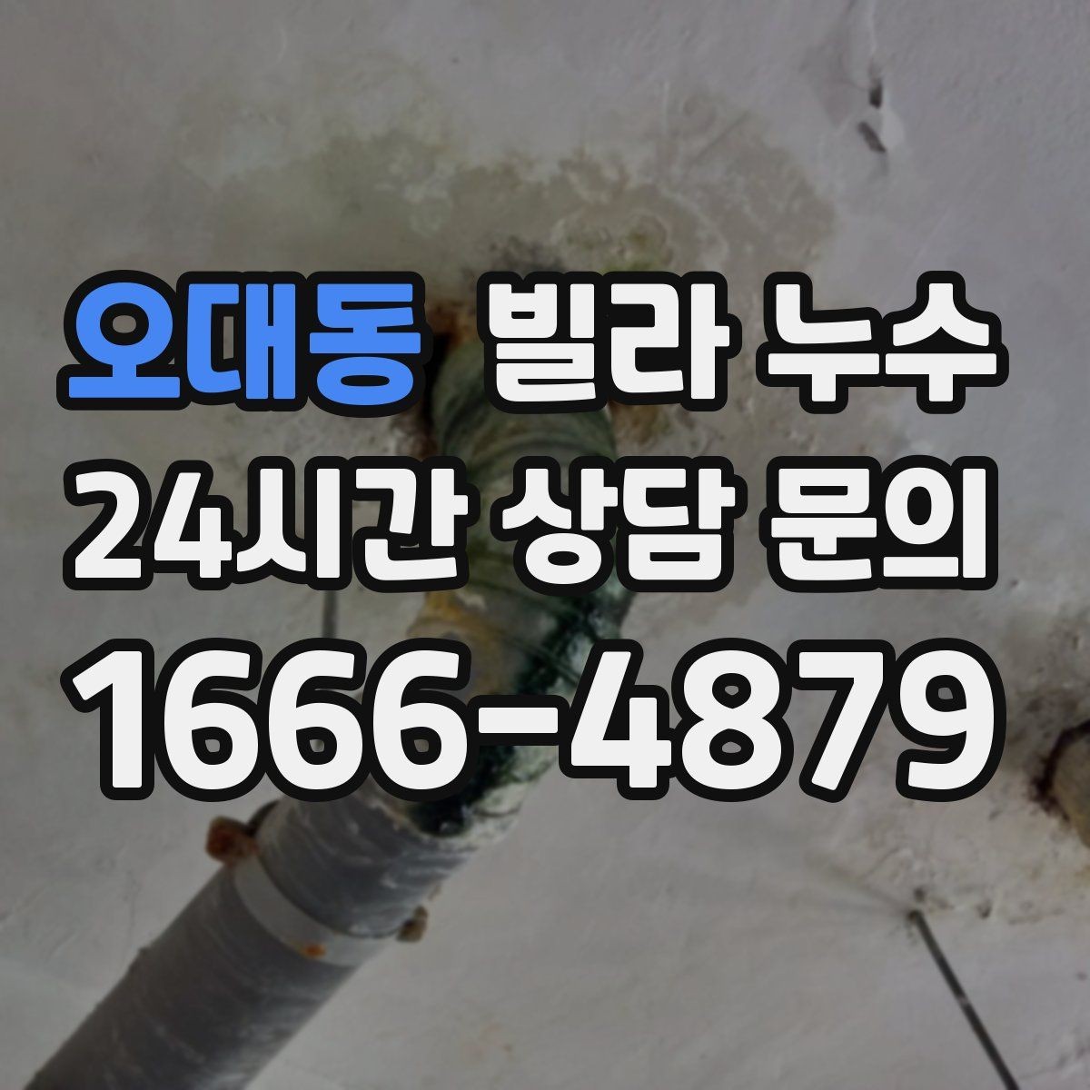 오대동 빌라 누수 곰팡이 냄새가 심해졌다면 누수 가능성
