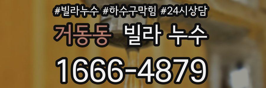 거동동 빌라 누수