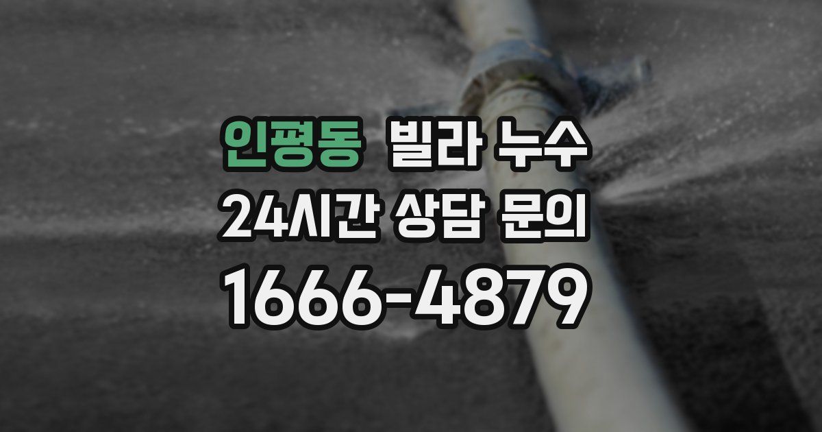 인평동 빌라 누수