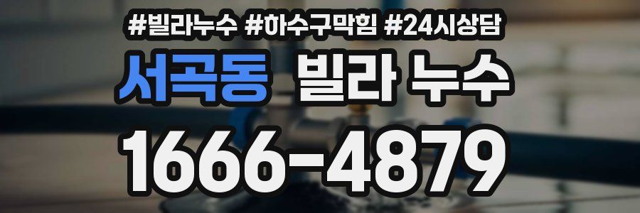 서곡동 빌라 누수