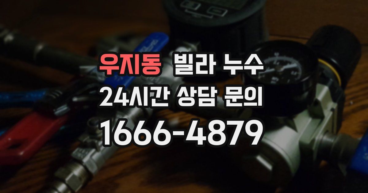 우지동 빌라 누수