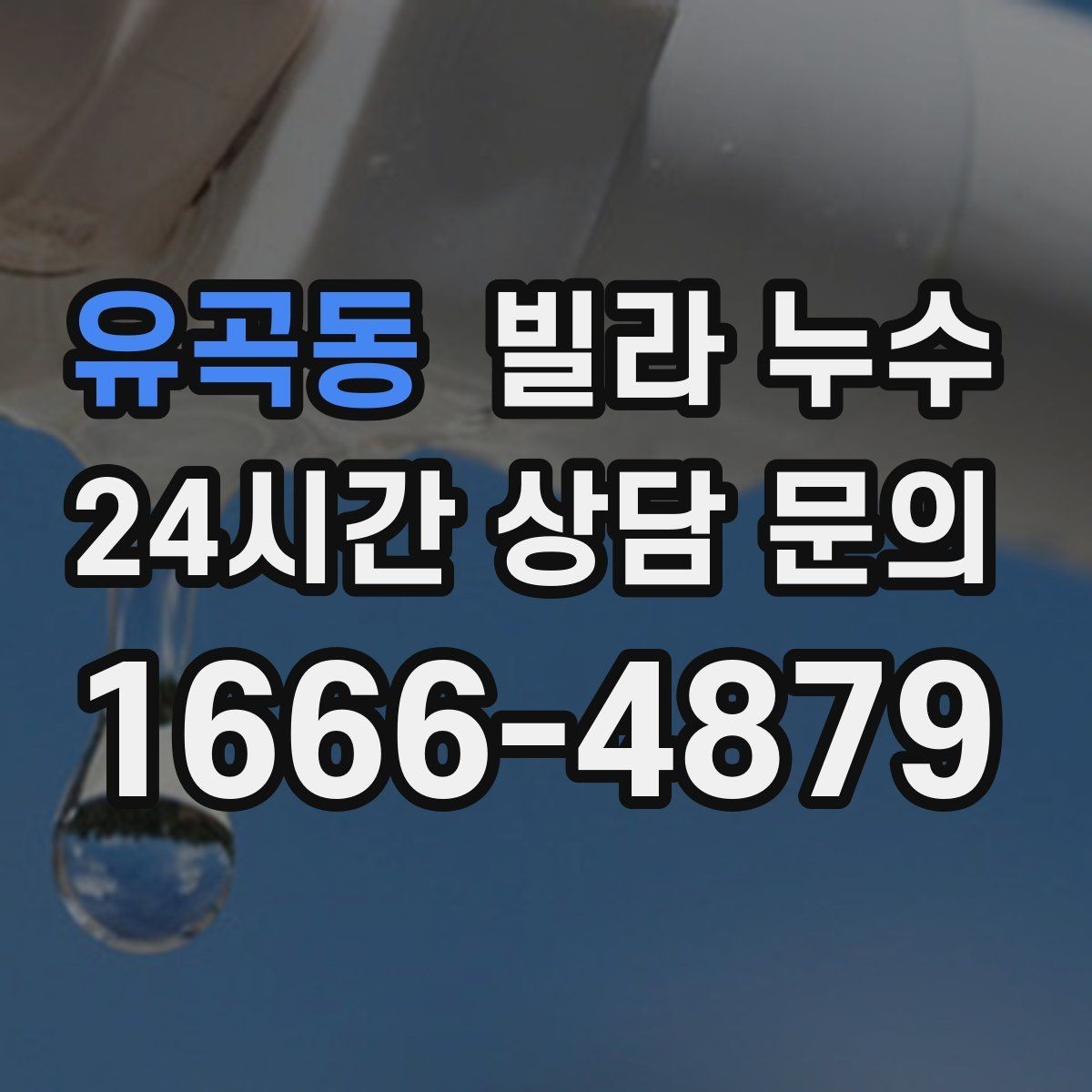 유곡동 빌라 누수 곰팡이 번지기 전 빠른 점검이 필요한 이유