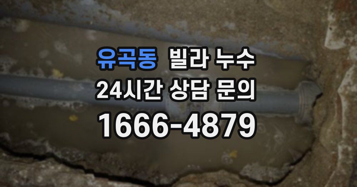 유곡동 빌라 누수