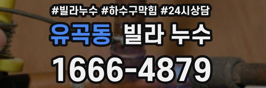 유곡동 빌라 누수