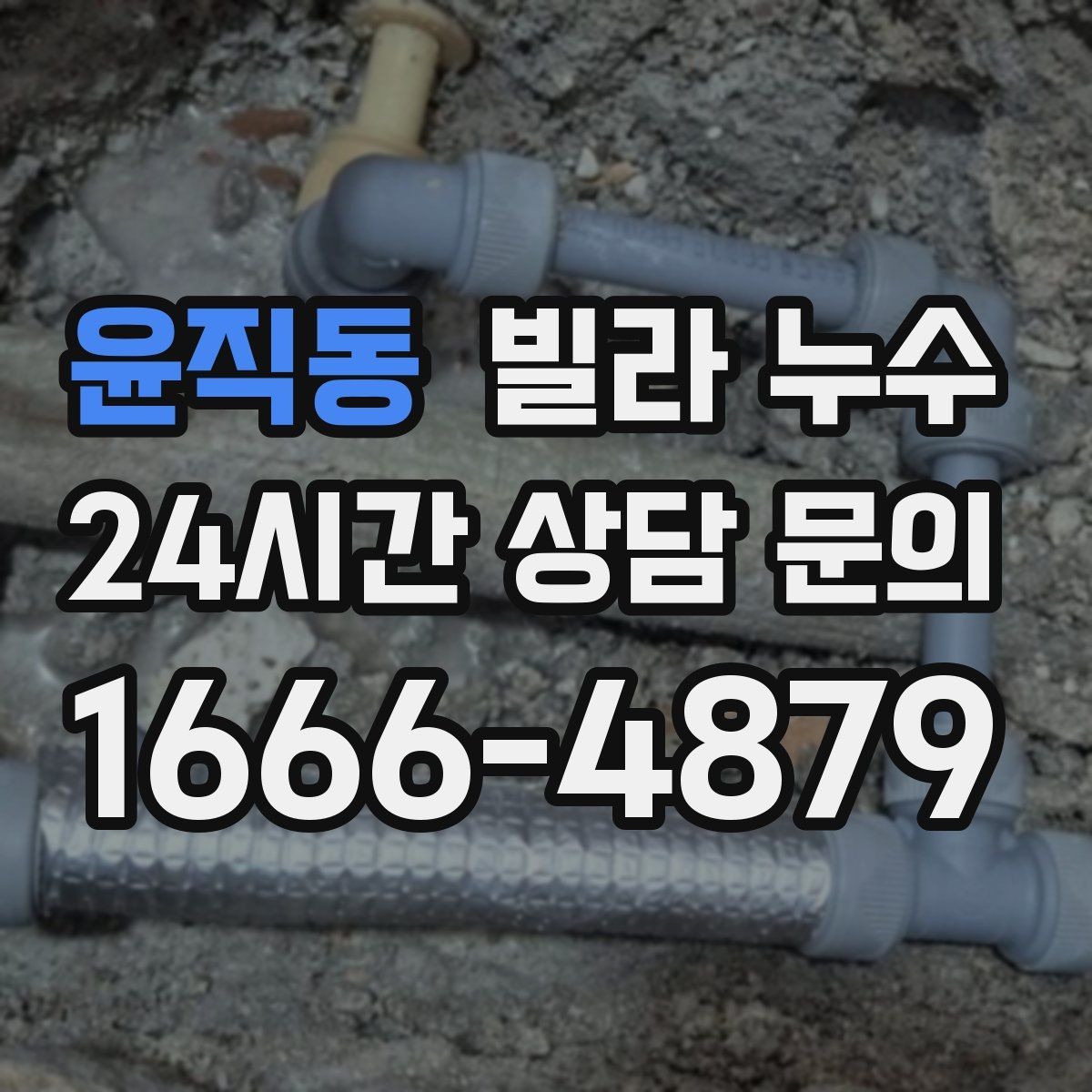 윤직동 빌라 누수 복도 벽이 젖으면 공용부도 의심해야 합니다