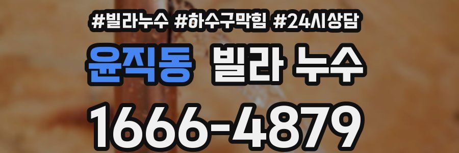 윤직동 빌라 누수