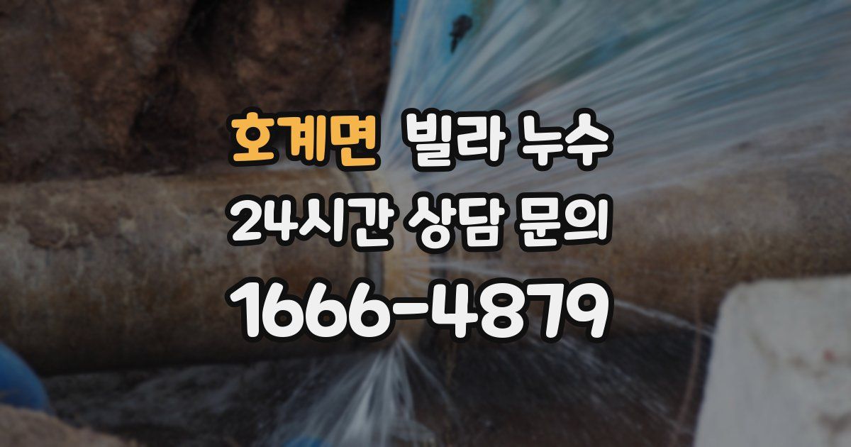 호계면 빌라 누수