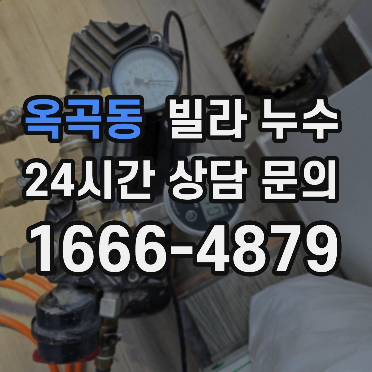 옥곡동 빌라 누수