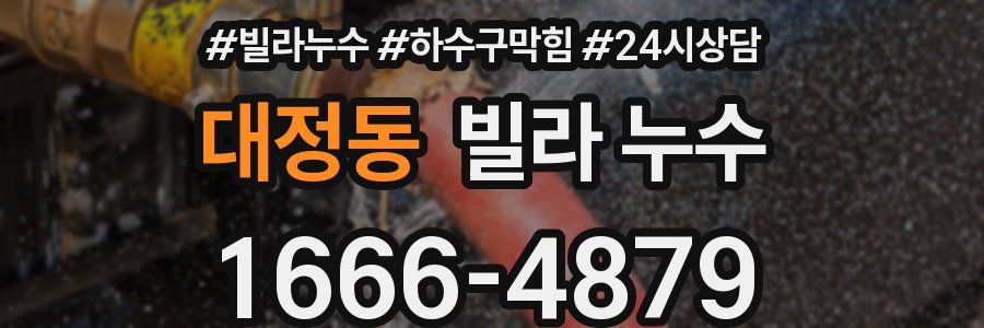 대정동 빌라 누수