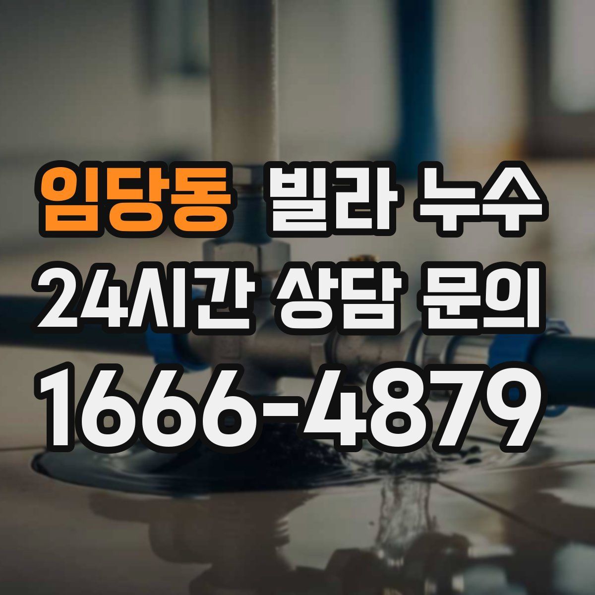 임당동 빌라 누수