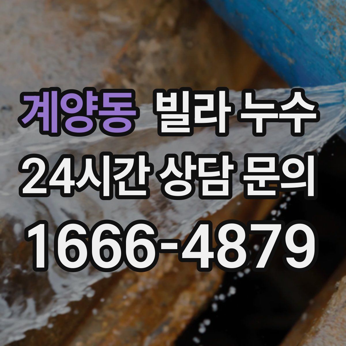 계양동 빌라 누수 장판 아래가 축축할 때 확인할 것