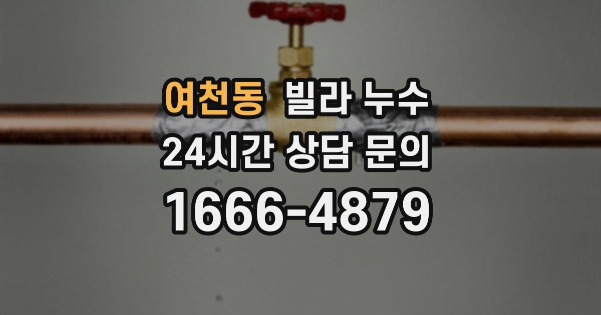 여천동 빌라 누수