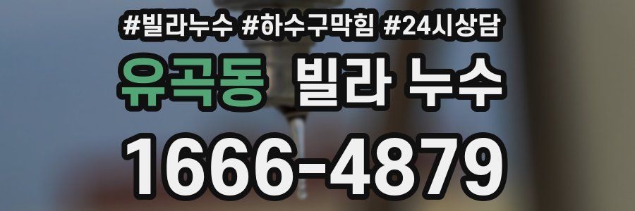 유곡동 빌라 누수