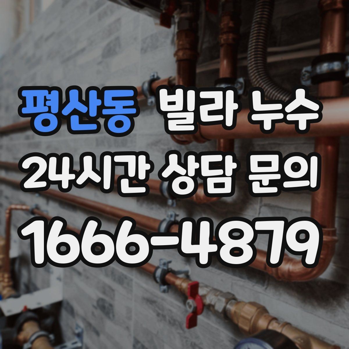 평산동 빌라 누수 세탁기 주변 물고임이 반복된다면