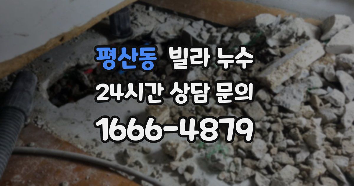 평산동 빌라 누수