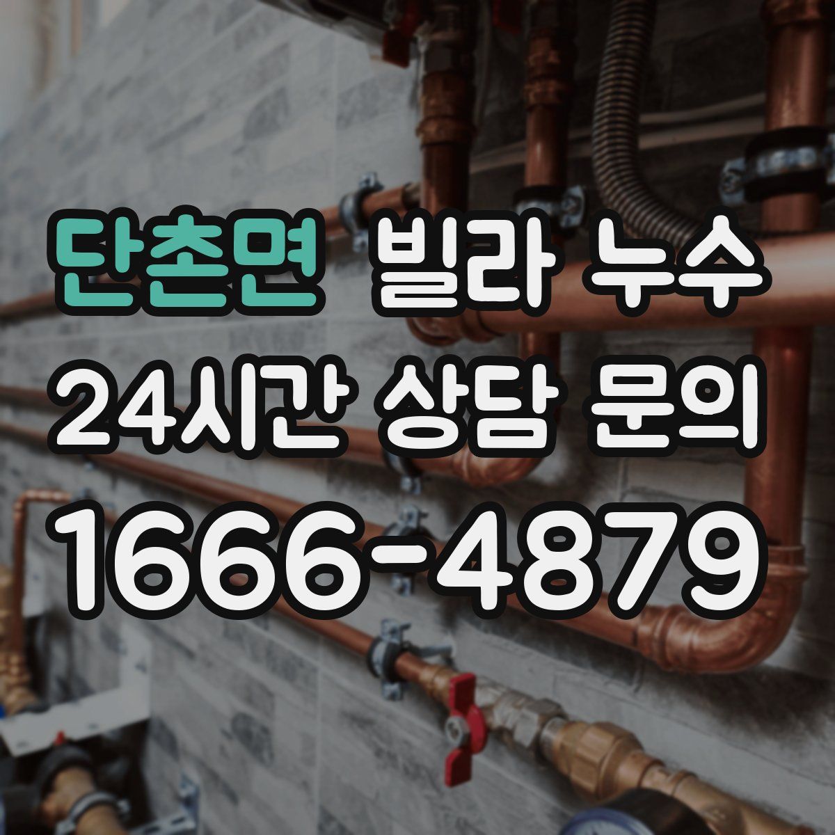 단촌면 빌라 누수