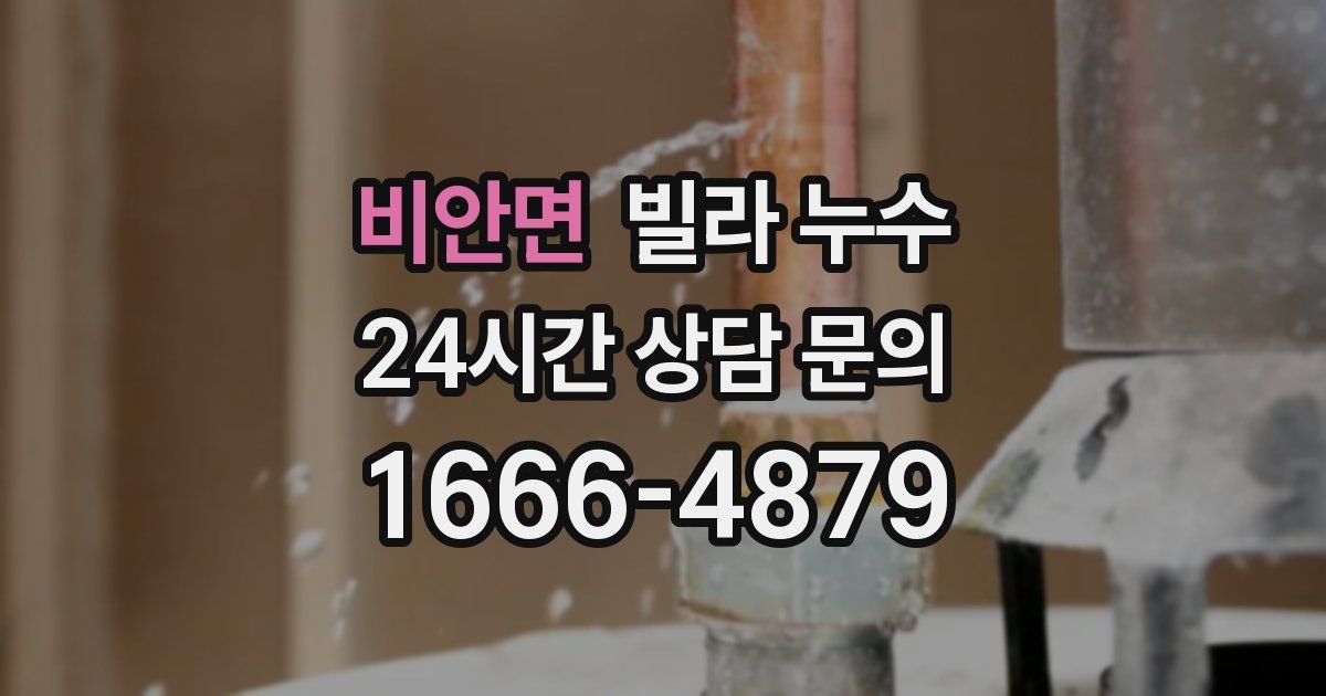 비안면 빌라 누수