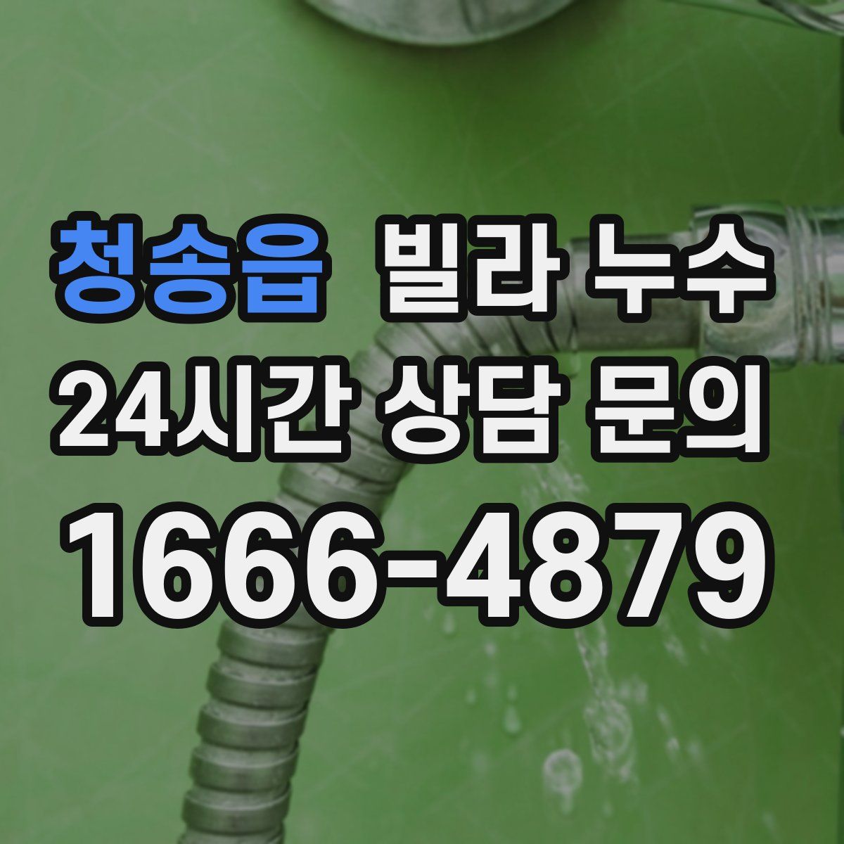 청송읍 빌라 누수