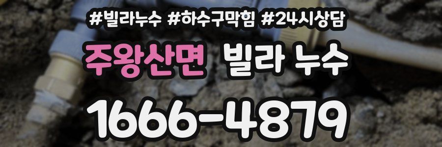 주왕산면 빌라 누수